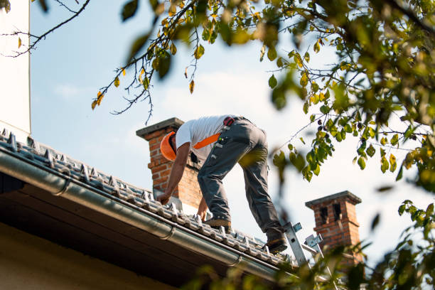 Steel Roofing in Sherwood, OR